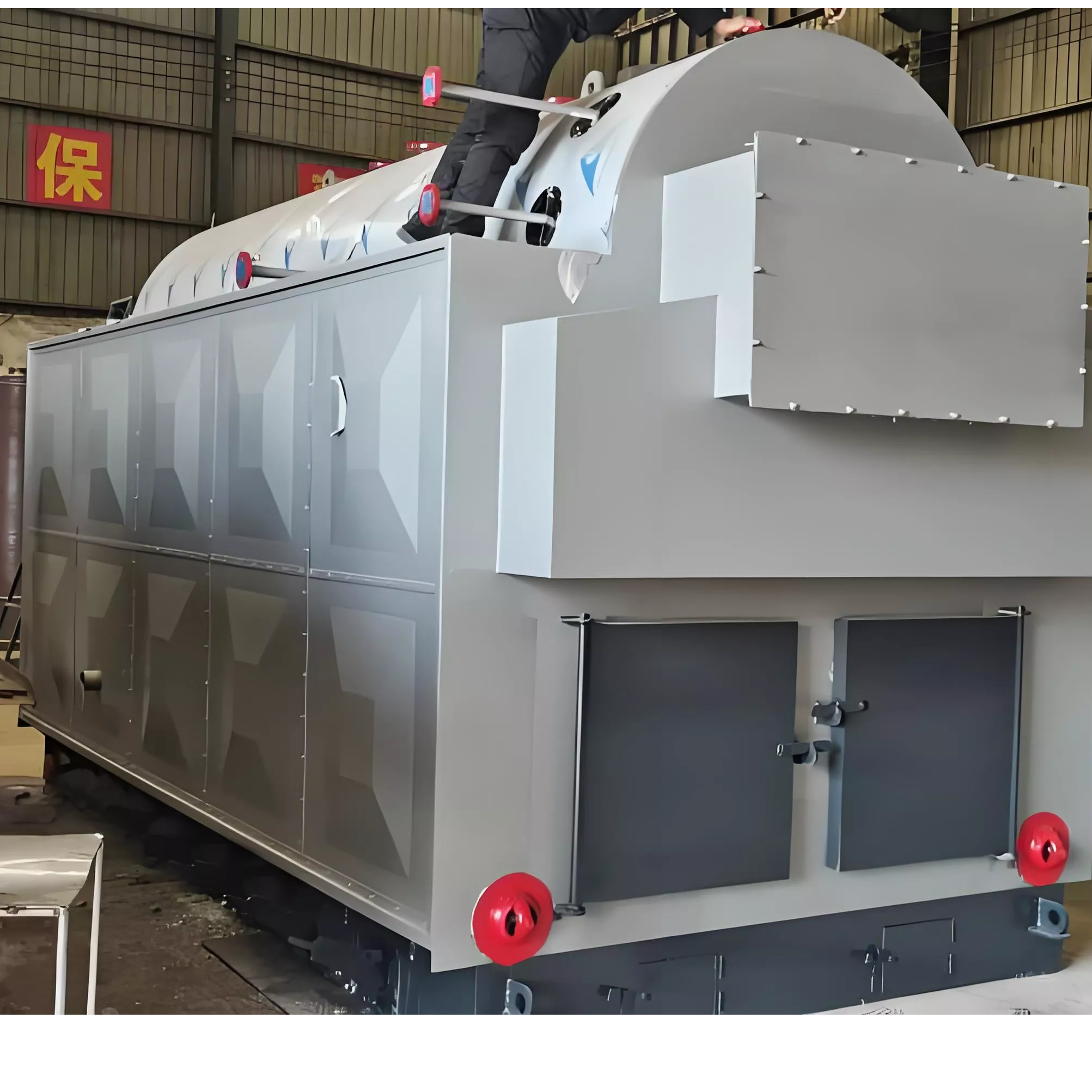 10-50 ton industrial advanced energy-saving biomass chain grate steam boiler